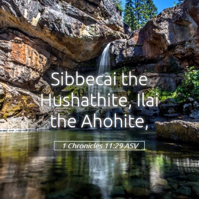 Picture 05 - 1 Chronicles 11:29 ASV - Sibbecai the Hushathite, Ilai the - Bible Verse Picture