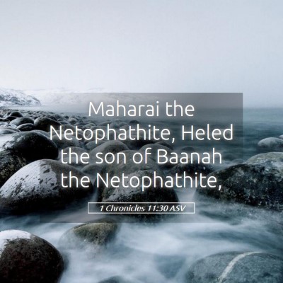 Picture 05 - 1 Chronicles 11:30 ASV - Maharai the Netophathite, Heled the son of Baanah - Bible Verse Picture
