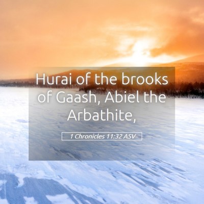 Picture 05 - 1 Chronicles 11:32 ASV - Hurai of the brooks of Gaash, Abiel the - Bible Verse Picture