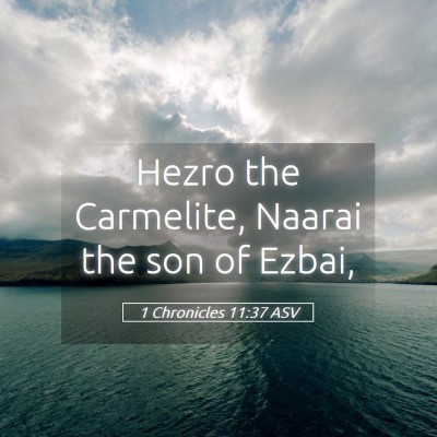 Picture 05 - 1 Chronicles 11:37 ASV - Hezro the Carmelite, Naarai the son of - Bible Verse Picture
