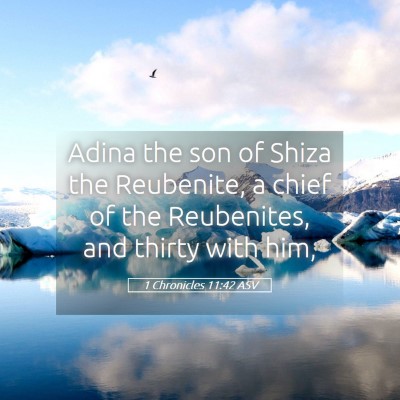 Picture 05 - 1 Chronicles 11:42 ASV - Adina the son of Shiza the Reubenite, a chief of - Bible Verse Picture