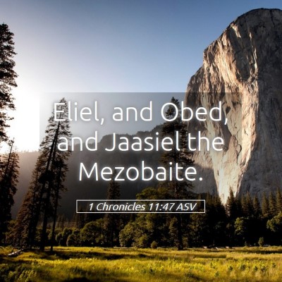 Picture 05 - 1 Chronicles 11:47 ASV - Eliel, and Obed, and Jaasiel the - Bible Verse Picture