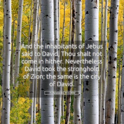 Picture 05 - 1 Chronicles 11:5 ASV - And the inhabitants of Jebus said to David, Thou - Bible Verse Picture