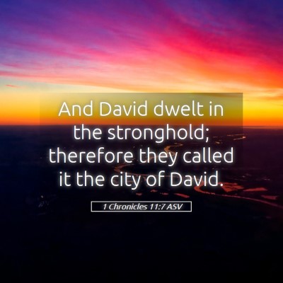 Picture 05 - 1 Chronicles 11:7 ASV - And David dwelt in the stronghold; therefore they - Bible Verse Picture