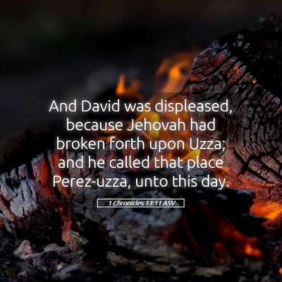 Picture 05 - 1 Chronicles 13:11 ASV - And David was displeased, because Jehovah had - Bible Verse Picture