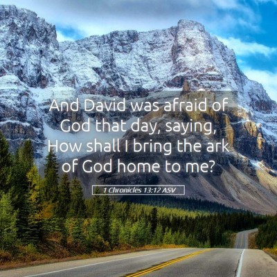 Picture 05 - 1 Chronicles 13:12 ASV - And David was afraid of God that day, saying, How - Bible Verse Picture