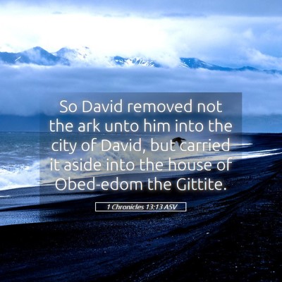 Picture 05 - 1 Chronicles 13:13 ASV - So David removed not the ark unto him into the - Bible Verse Picture