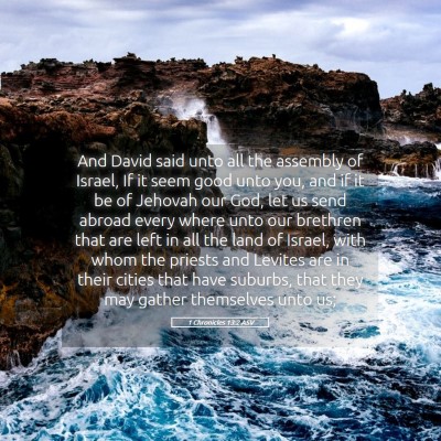 Picture 05 - 1 Chronicles 13:2 ASV - And David said unto all the assembly of Israel, - Bible Verse Picture