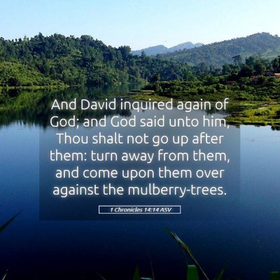 Picture 05 - 1 Chronicles 14:14 ASV - And David inquired again of God; and God said - Bible Verse Picture