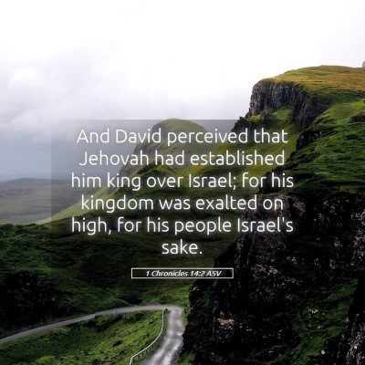 Picture 05 - 1 Chronicles 14:2 ASV - And David perceived that Jehovah had established - Bible Verse Picture