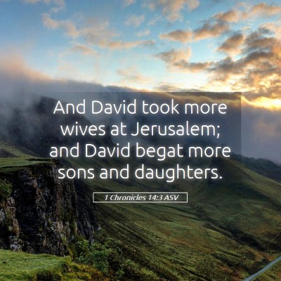 Picture 05 - 1 Chronicles 14:3 ASV - And David took more wives at Jerusalem; and David - Bible Verse Picture