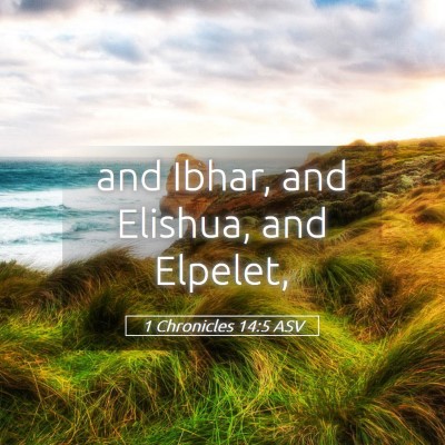 Picture 05 - 1 Chronicles 14:5 ASV - and Ibhar, and Elishua, and - Bible Verse Picture