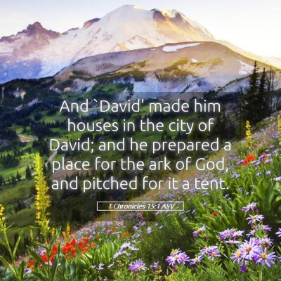 Picture 05 - 1 Chronicles 15:1 ASV - And `David' made him houses in the city of David; - Bible Verse Picture