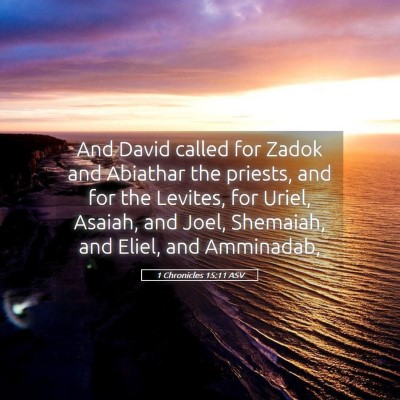 Picture 05 - 1 Chronicles 15:11 ASV - And David called for Zadok and Abiathar the - Bible Verse Picture