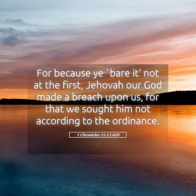 Picture 05 - 1 Chronicles 15:13 ASV - For because ye `bare it' not at the first, - Bible Verse Picture