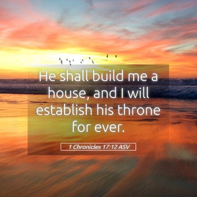 Picture 05 - 1 Chronicles 17:12 ASV - He shall build me a house, and I will establish - Bible Verse Picture