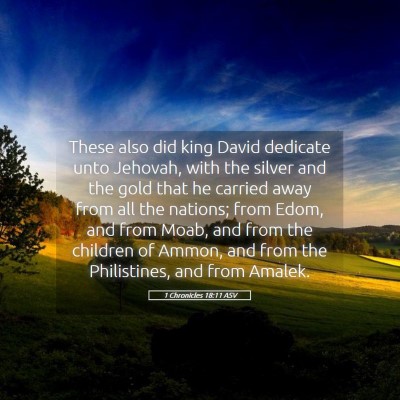 Picture 05 - 1 Chronicles 18:11 ASV - These also did king David dedicate unto Jehovah, - Bible Verse Picture