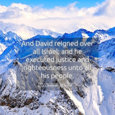 Picture 05 - 1 Chronicles 18:14 ASV - And David reigned over all Israel; and he - Bible Verse Picture
