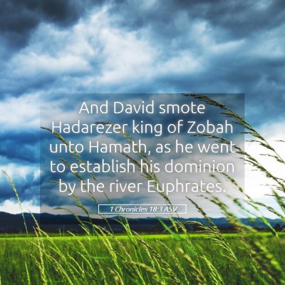 Picture 05 - 1 Chronicles 18:3 ASV - And David smote Hadarezer king of Zobah unto - Bible Verse Picture