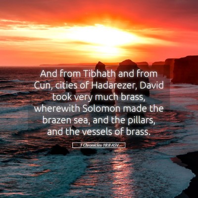 Picture 05 - 1 Chronicles 18:8 ASV - And from Tibhath and from Cun, cities of - Bible Verse Picture