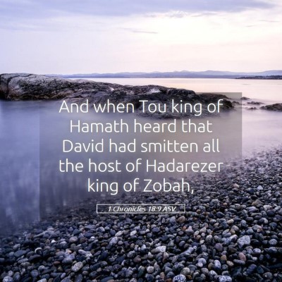 Picture 05 - 1 Chronicles 18:9 ASV - And when Tou king of Hamath heard that David had - Bible Verse Picture