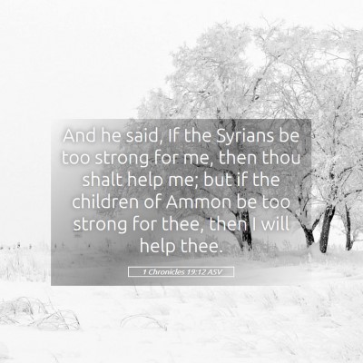 Picture 05 - 1 Chronicles 19:12 ASV - And he said, If the Syrians be too strong for me, - Bible Verse Picture