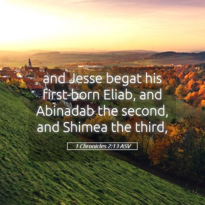 Picture 05 - 1 Chronicles 2:13 ASV - and Jesse begat his first-born Eliab, and - Bible Verse Picture