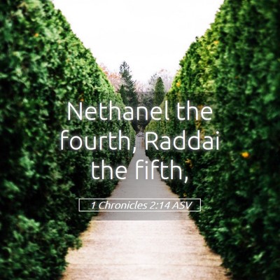 Picture 05 - 1 Chronicles 2:14 ASV - Nethanel the fourth, Raddai the - Bible Verse Picture