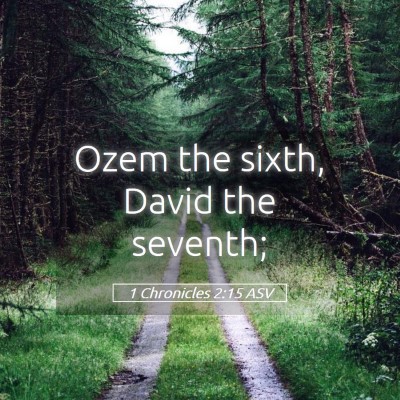 Picture 05 - 1 Chronicles 2:15 ASV - Ozem the sixth, David the - Bible Verse Picture