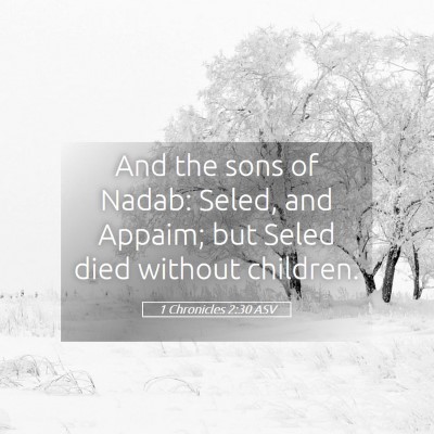 Picture 05 - 1 Chronicles 2:30 ASV - And the sons of Nadab: Seled, and Appaim; but - Bible Verse Picture