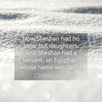 Picture 05 - 1 Chronicles 2:34 ASV - Now Sheshan had no sons, but daughters. And - Bible Verse Picture