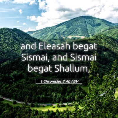 Picture 05 - 1 Chronicles 2:40 ASV - and Eleasah begat Sismai, and Sismai begat - Bible Verse Picture