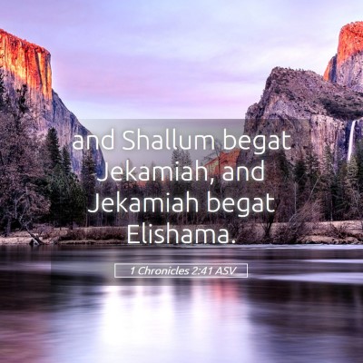 Picture 05 - 1 Chronicles 2:41 ASV - and Shallum begat Jekamiah, and Jekamiah begat - Bible Verse Picture