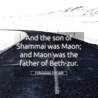 Picture 05 - 1 Chronicles 2:45 ASV - And the son of Shammai was Maon; and Maon was the - Bible Verse Picture