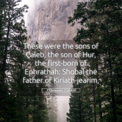 Picture 05 - 1 Chronicles 2:50 ASV - These were the sons of Caleb, the son of Hur, the - Bible Verse Picture
