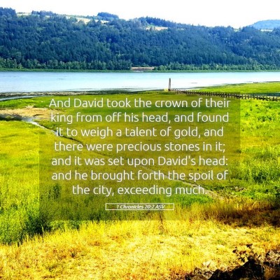 Picture 05 - 1 Chronicles 20:2 ASV - And David took the crown of their king from off - Bible Verse Picture