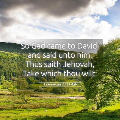 Picture 05 - 1 Chronicles 21:11 ASV - So Gad came to David, and said unto him, Thus - Bible Verse Picture