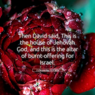 Picture 05 - 1 Chronicles 22:1 ASV - Then David said, This is the house of Jehovah - Bible Verse Picture