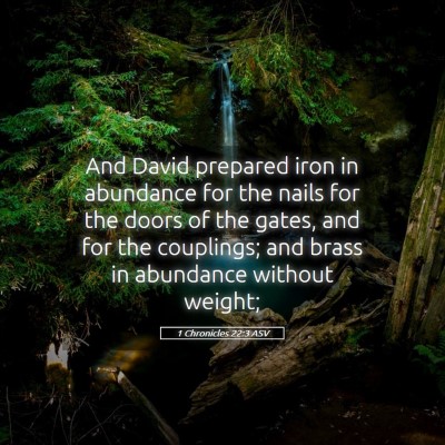 Picture 05 - 1 Chronicles 22:3 ASV - And David prepared iron in abundance for the - Bible Verse Picture