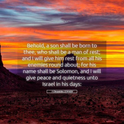 Picture 05 - 1 Chronicles 22:9 ASV - Behold, a son shall be born to thee, who shall be - Bible Verse Picture