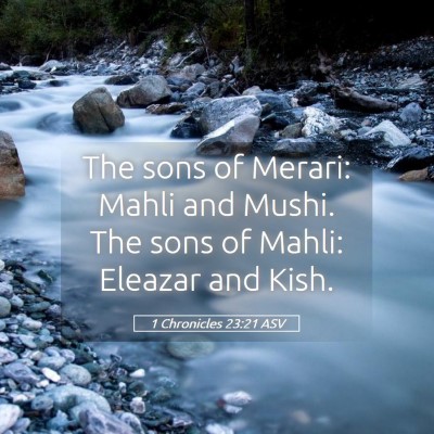 Picture 05 - 1 Chronicles 23:21 ASV - The sons of Merari: Mahli and Mushi. The sons of - Bible Verse Picture