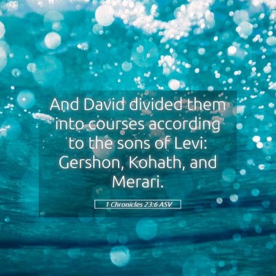 Picture 05 - 1 Chronicles 23:6 ASV - And David divided them into courses according to - Bible Verse Picture