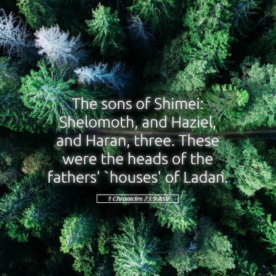 Picture 05 - 1 Chronicles 23:9 ASV - The sons of Shimei: Shelomoth, and Haziel, and - Bible Verse Picture