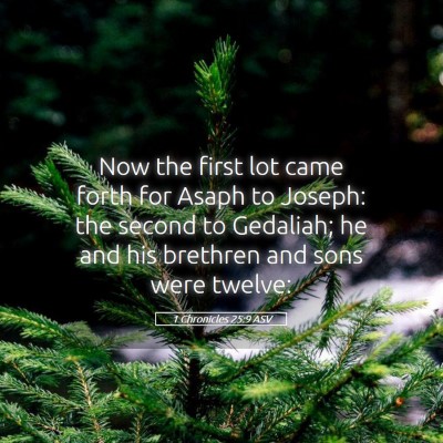 Picture 05 - 1 Chronicles 25:9 ASV - Now the first lot came forth for Asaph to Joseph: - Bible Verse Picture
