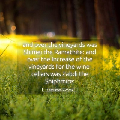 Picture 05 - 1 Chronicles 27:27 ASV - and over the vineyards was Shimei the Ramathite: - Bible Verse Picture