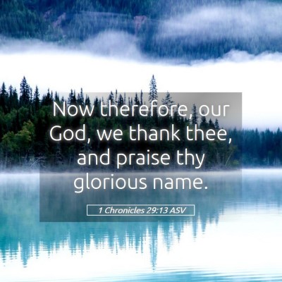 Picture 05 - 1 Chronicles 29:13 ASV - Now therefore, our God, we thank thee, and praise - Bible Verse Picture