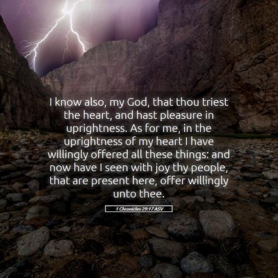 Picture 05 - 1 Chronicles 29:17 ASV - I know also, my God, that thou triest the heart, - Bible Verse Picture