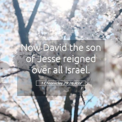 Picture 05 - 1 Chronicles 29:26 ASV - Now David the son of Jesse reigned over all - Bible Verse Picture