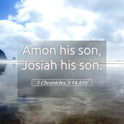 Picture 05 - 1 Chronicles 3:14 ASV - Amon his son, Josiah his - Bible Verse Picture