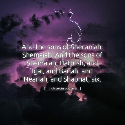 Picture 05 - 1 Chronicles 3:22 ASV - And the sons of Shecaniah: Shemaiah. And the sons - Bible Verse Picture